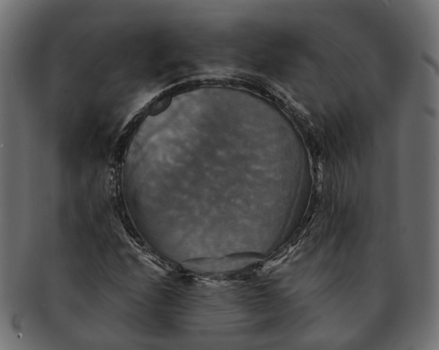 X0000091541208200709071056