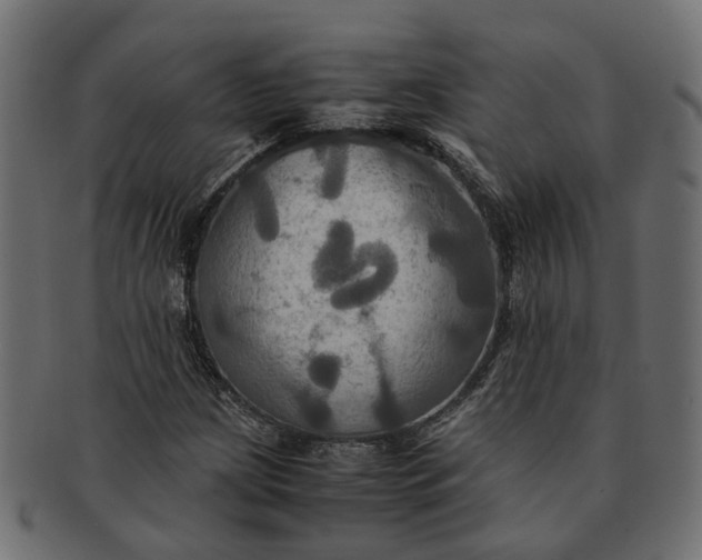 X0000091541209200709071056