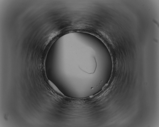 X0000091541210200709071056