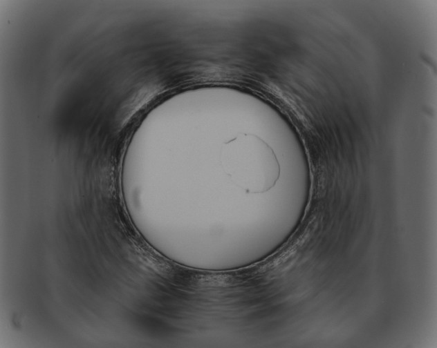 X0000091541211200709071056