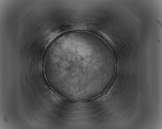 X0000091541212200709071056