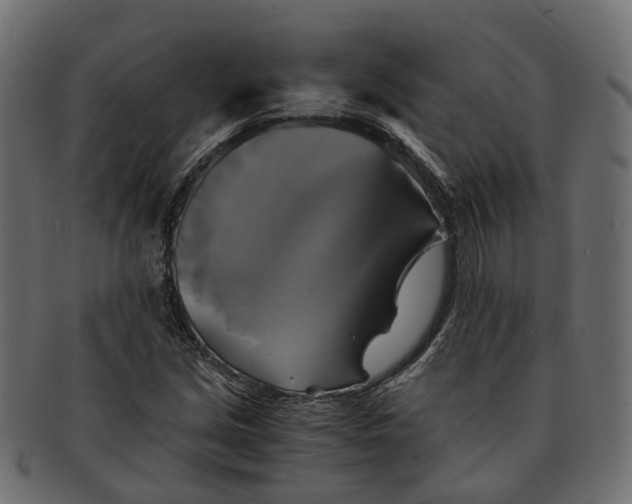 X0000091541213200709071056