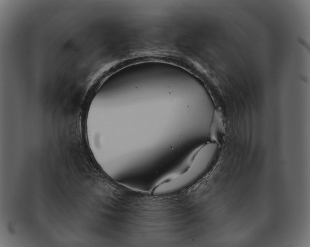 X0000091541214200709071056