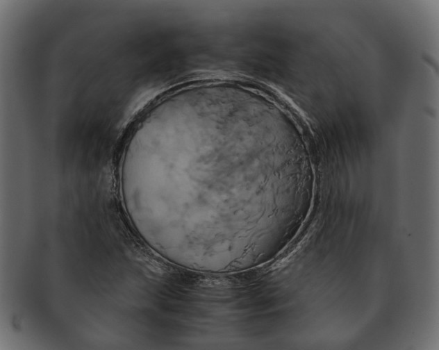 X0000091541215200709071056