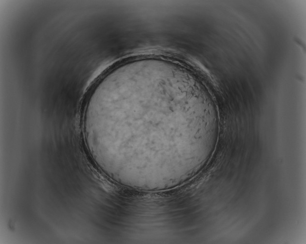 X0000091541216200709071056