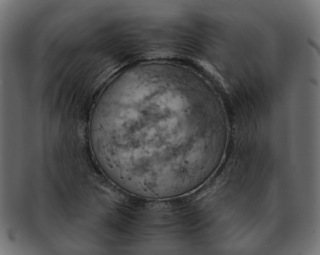 X0000091541217200709071056