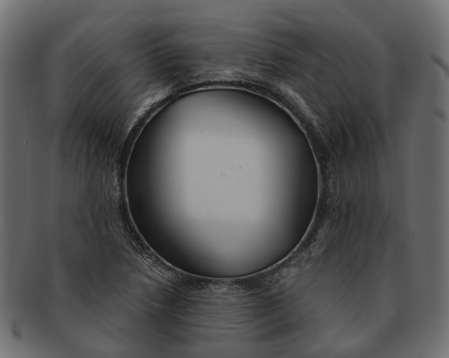 X0000091541218200709071056