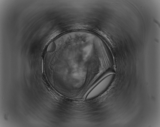 X0000091541219200709071056