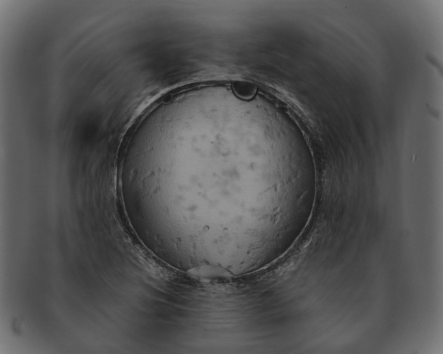 X0000091541220200709071056