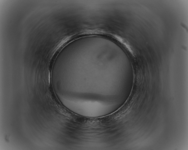 X0000091541221200709071056