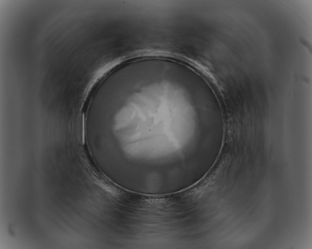 X0000091541223200709071056