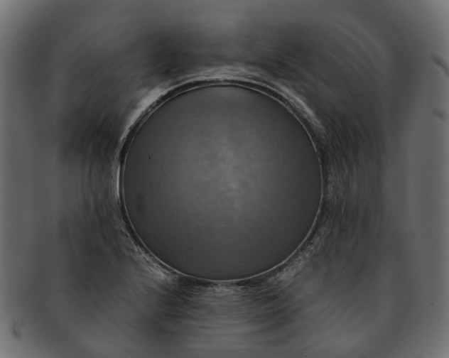 X0000091541224200709071056