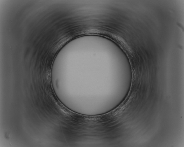 X0000091541225200709071056