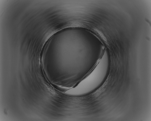 X0000091541226200709071056