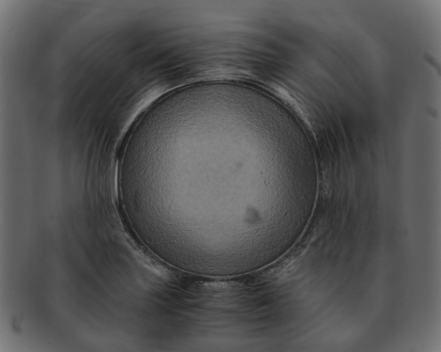 X0000091541227200709071056