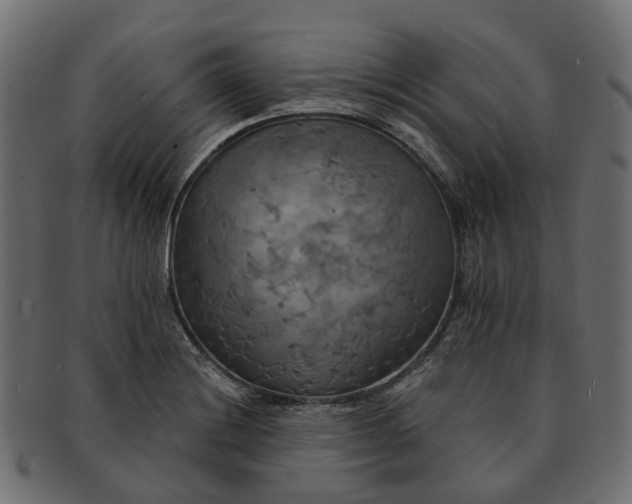 X0000091541228200709071056