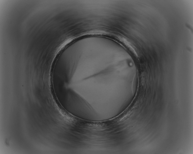 X0000091541229200709071056