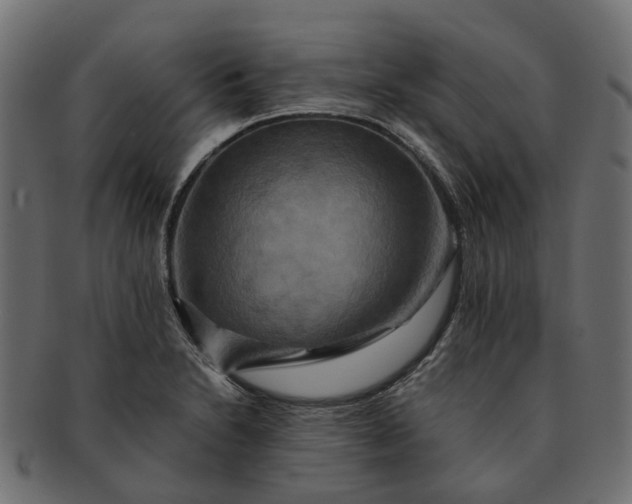 X0000091541230200709071056