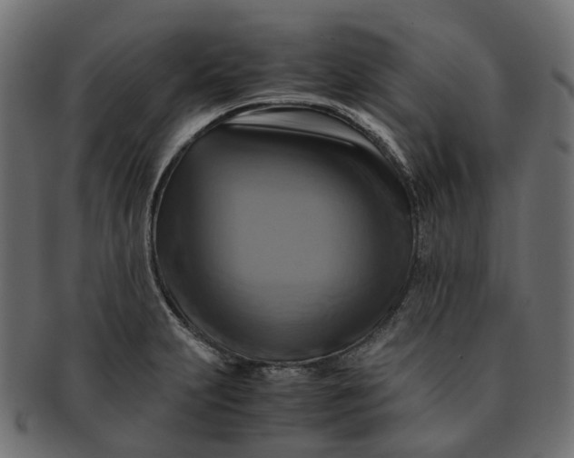 X0000091541231200709071056