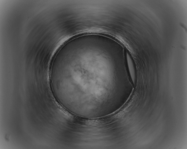 X0000091541232200709071056