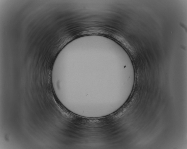 X0000091541233200709071056