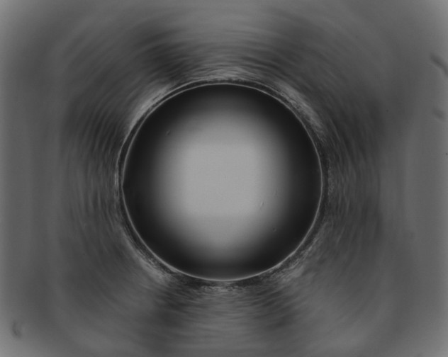 X0000091541234200709071056