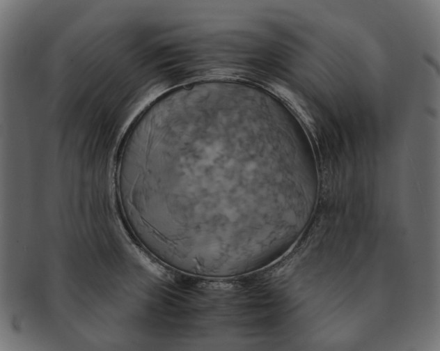 X0000091541235200709071056