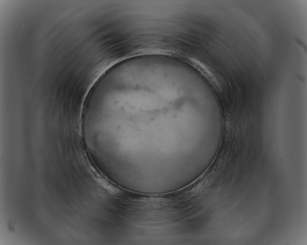 X0000091541236200709071056