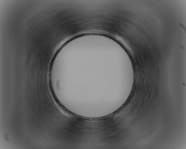 X0000091541237200709071056