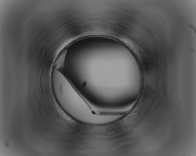 X0000091541238200709071056