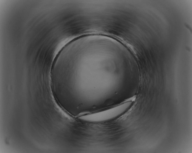 X0000091541239200709071056