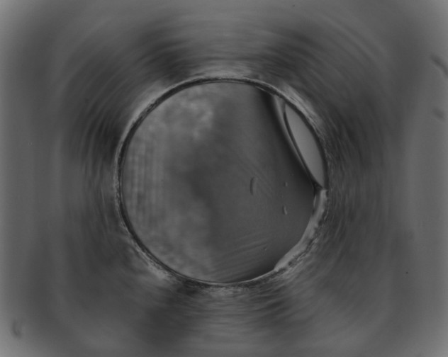 X0000091541240200709071056