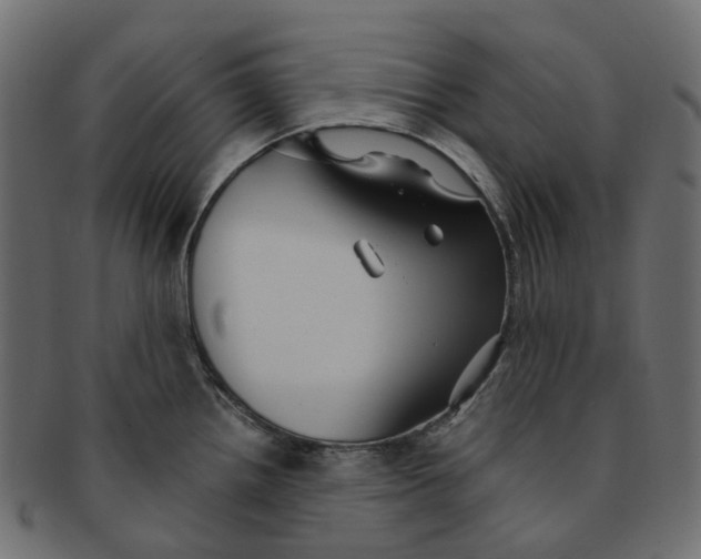 X0000091541242200709071056