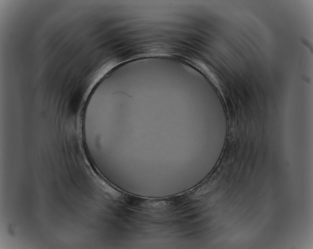 X0000091541243200709071056