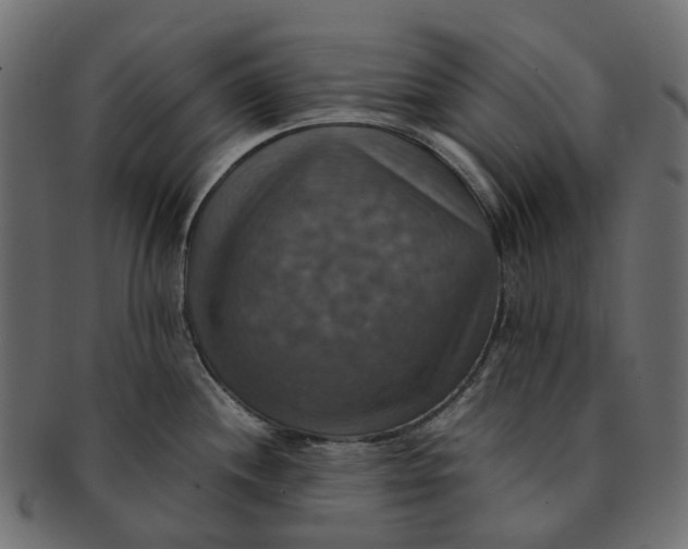 X0000091541244200709071056