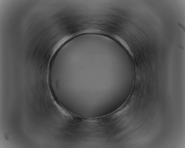 X0000091541245200709071056