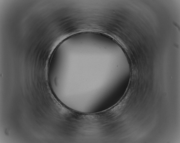 X0000091541246200709071056