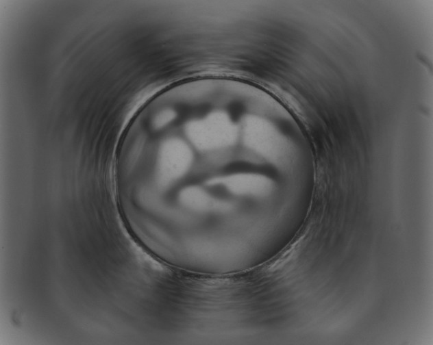 X0000091541247200709071056