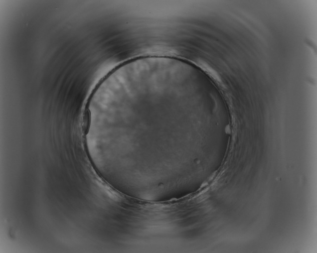 X0000091541248200709071057