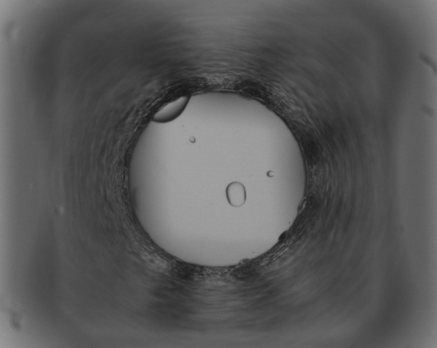 X0000091541249200709071056