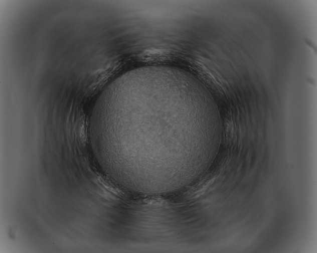 X0000091541250200709071056