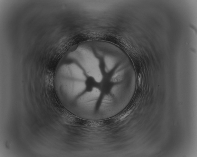 X0000091541251200709071056