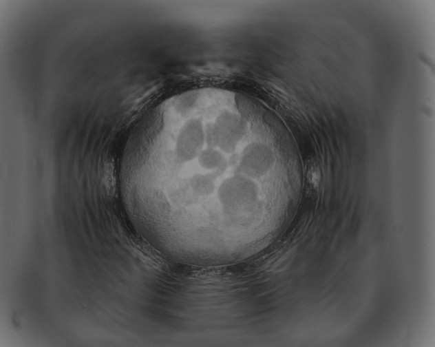 X0000091541252200709071056