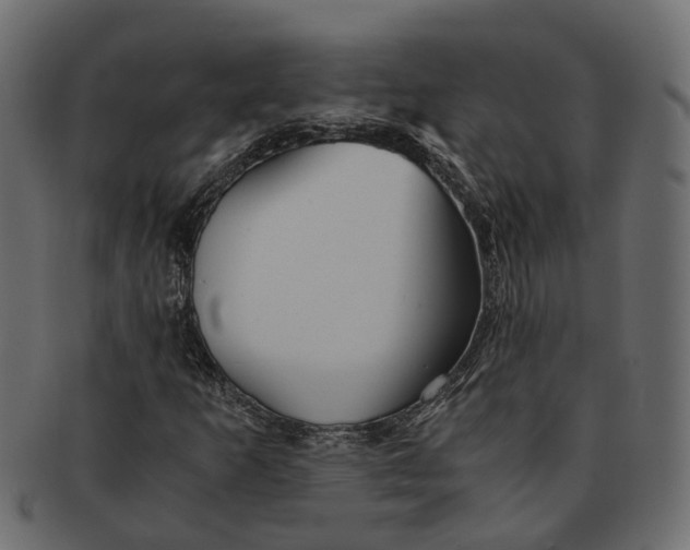 X0000091541253200709071056