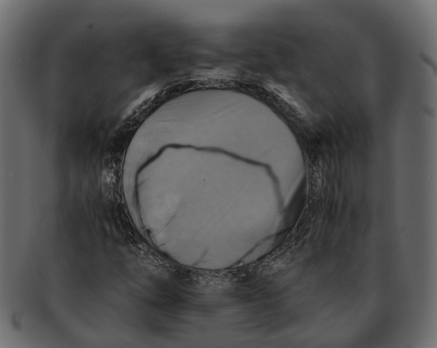 X0000091541254200709071056