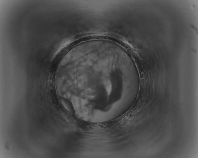 X0000091541255200709071056