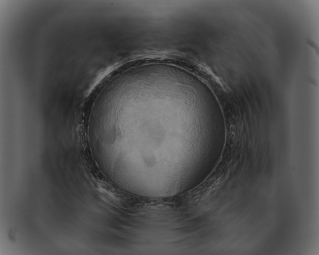 X0000091541256200709071056