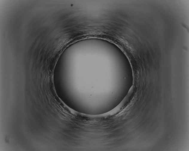 X0000091541257200709071056