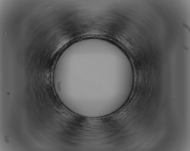 X0000091541258200709071056