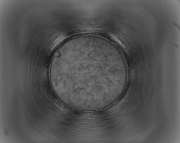 X0000091541259200709071056